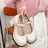 French Retro Thick Heel High Heels Women's 2025 New Spring and Autumn Versatile Skirt Mary Jane Light Mouth Small Leather Shoes