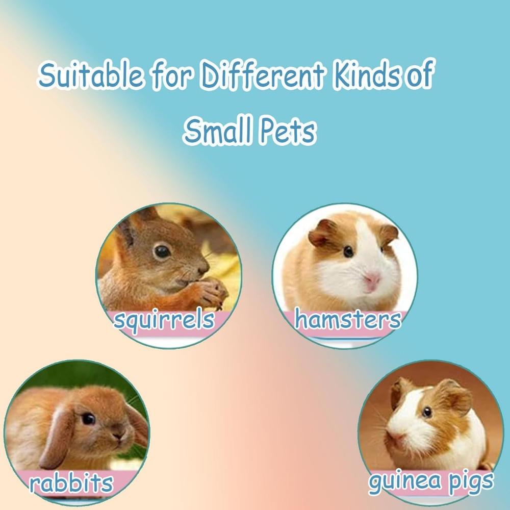 Pet Zone IQ Treat Ball Interactive Dog Ball , Durable, Slow Feeder, for All Dog Breeds, Toys to Keep The Busy and Enrichment