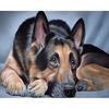 Diamond Embroidery "Dog" 5D Diamond Painting Cross Stitch Diamond Mosaic Needle Craft