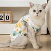 Железная стена Друзья Кошка Стерилизация Костюм L