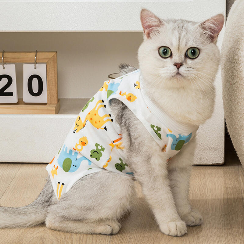 Железная стена Друзья Кошка Стерилизация Костюм L