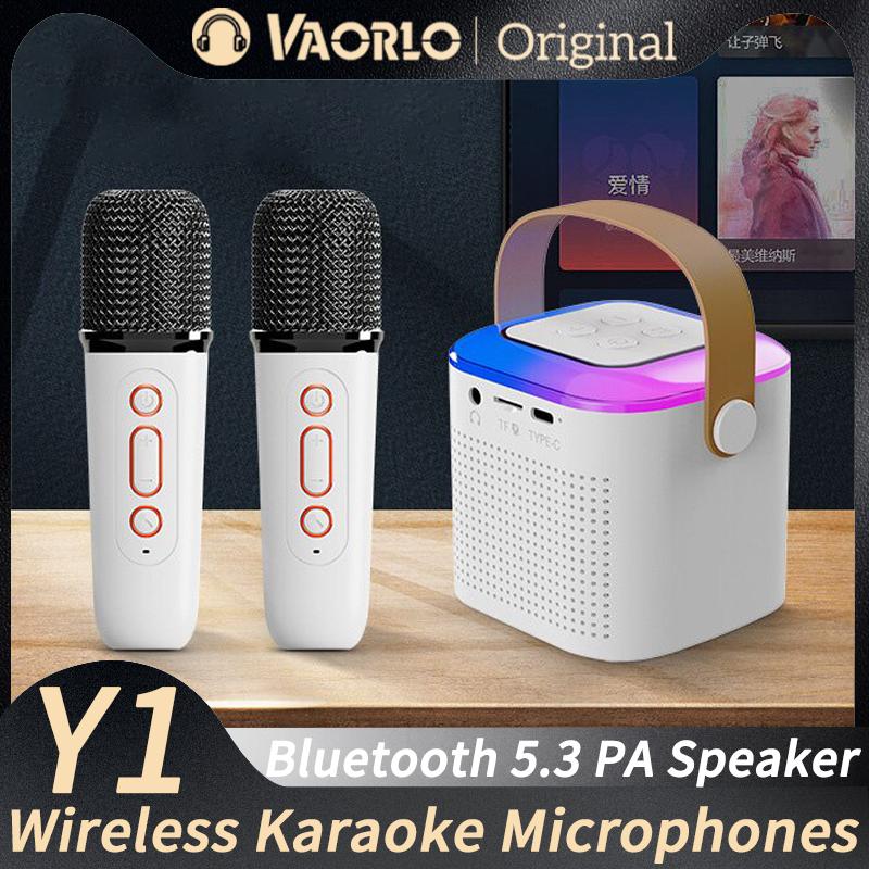 Беспроводные двойные микрофоны Y1 Караоке-машина KTV DSP-система Bluetooth 5.3 PA-динамик HIFI Стереообъемный звук RGB Красочные светодиодные огни