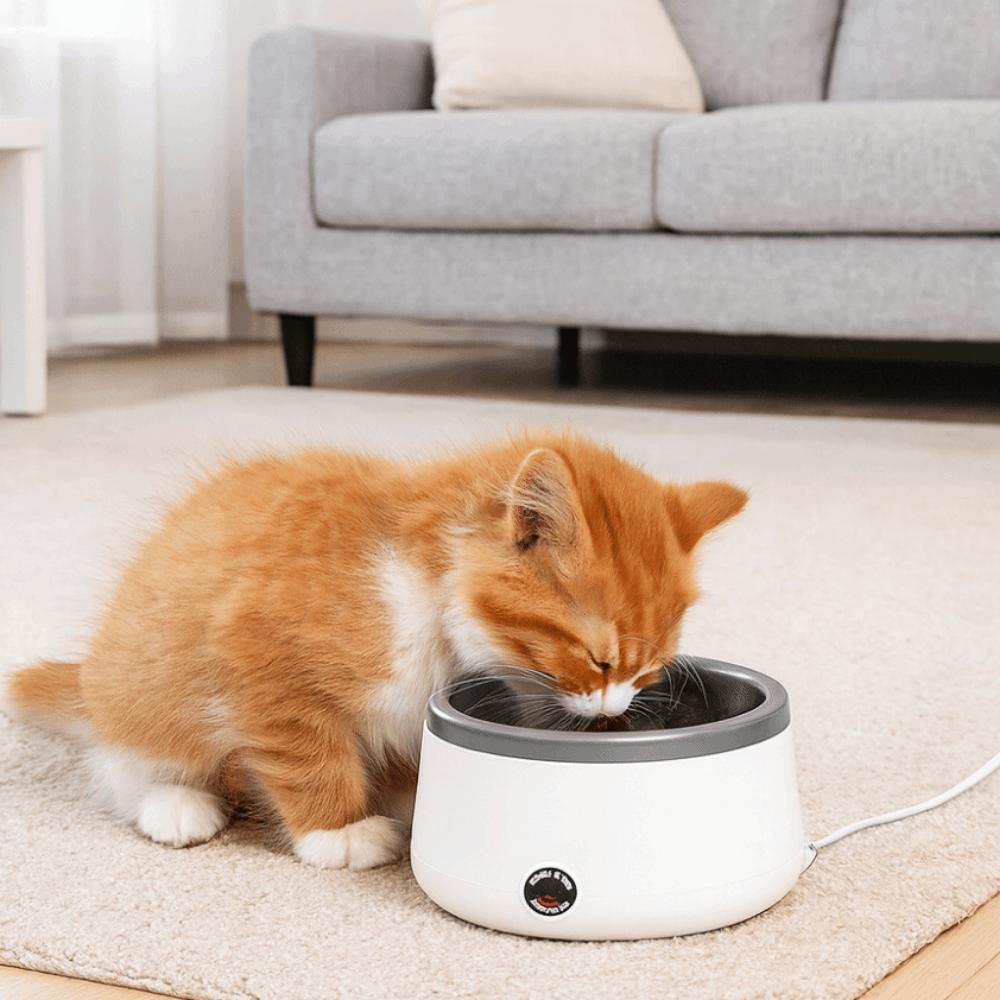 Ultra Quiet Heating Dog Bowl Stainless Steel Cat Water Fountain  Multi-Pet Household