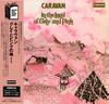CD CARAVAN  In The Land Of Grey And Pink 5 UICY9058 Deram 2001 Япония ObiRock Б/у