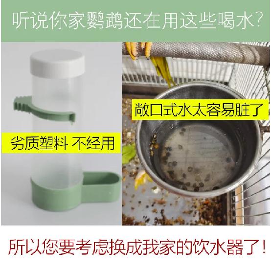 Bird Parrot Pin Type Water Dispenser External Water Dispenser with Large Capacity 800ml Kettle Peony/Xuanfeng Water Dispenser