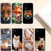 RE31 fox cute Transparent Phone Case for Samsung Galaxy A04 A04S A14 A23 A34 A54 M23 M33 M52 M53