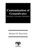 Книга Contamination of Groundwater : Prevention, Assessment, Restoration