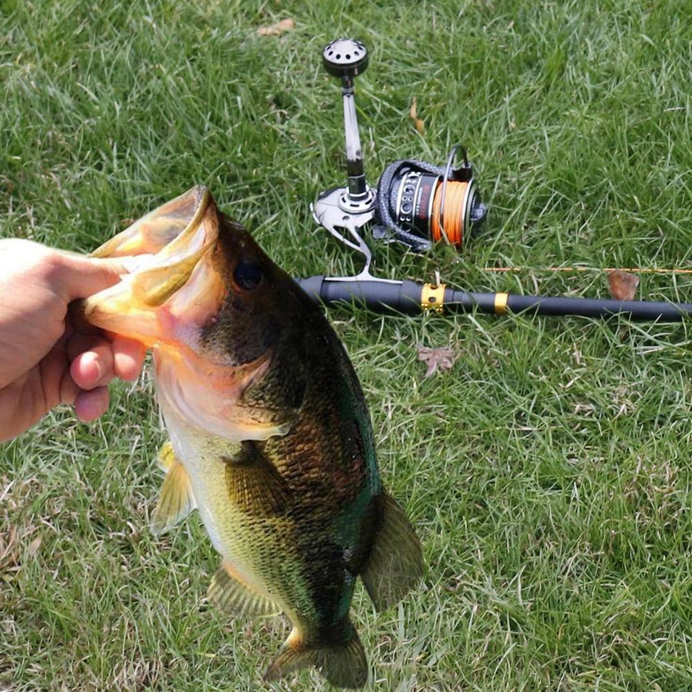 Spinning Fishing Reel 12+1BB Double Bearing Light Smooth Casting Collapsible Handle Spinning Reels