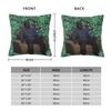 Hannibal Buress Obama Portrait Square Pillowcase Polyester Linen Velvet Printed Zip Decor Pillow Case Home Cushion Cover