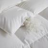 Chansi 90% White Duck Down Winter Duvet