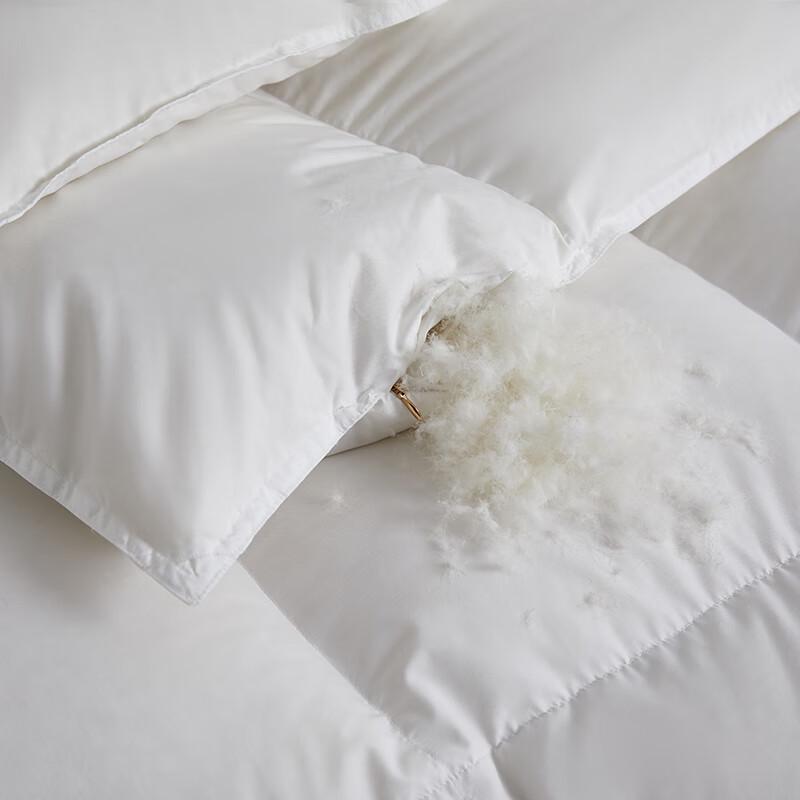 Chansi 90% White Duck Down Winter Duvet