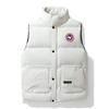 Мужской повседневный жилет в корейском стиле Canada Goose, утепленный хлопком, без рукавов