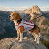 Sun Protection Pet Cooling Shirt Breathable Dog Sunscreen Clothes Dog Cooling Vest  Walking