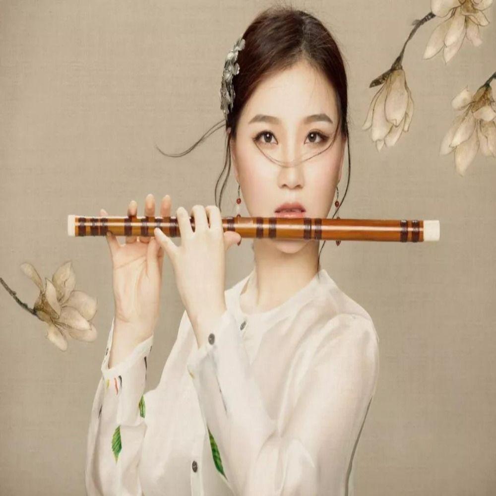 Flauta 6 Holes Bamboo Flute Chinese Dizi Irish Whistle Flute Professional Woodwind Flutes