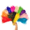 Dyed Peacock Feather 25-30cm for DIY Craft Vases Creative Hat Costume Party Wedding Carnaval Holiday Floral Decoration