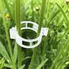 100/200/300 Pcs Plant Clips Plastic Plant Support Clips Reusable Tomato Trellis Clips for Climbing Plants Vines Cucumbers Indoor Outdoor Use