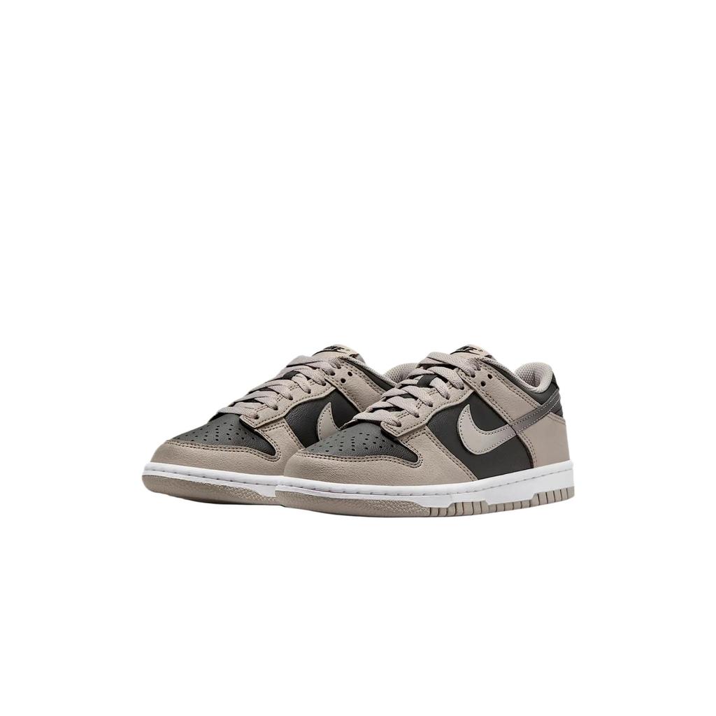 Nike Dunk Low Kids Lifestyle Shoes Preppy Gray White Black Teenagers HV6363-009