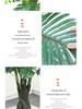 Большая искусственная пальма «Рыбий хвост» напольная | Комнатная искусственная зелень для декора гостиной