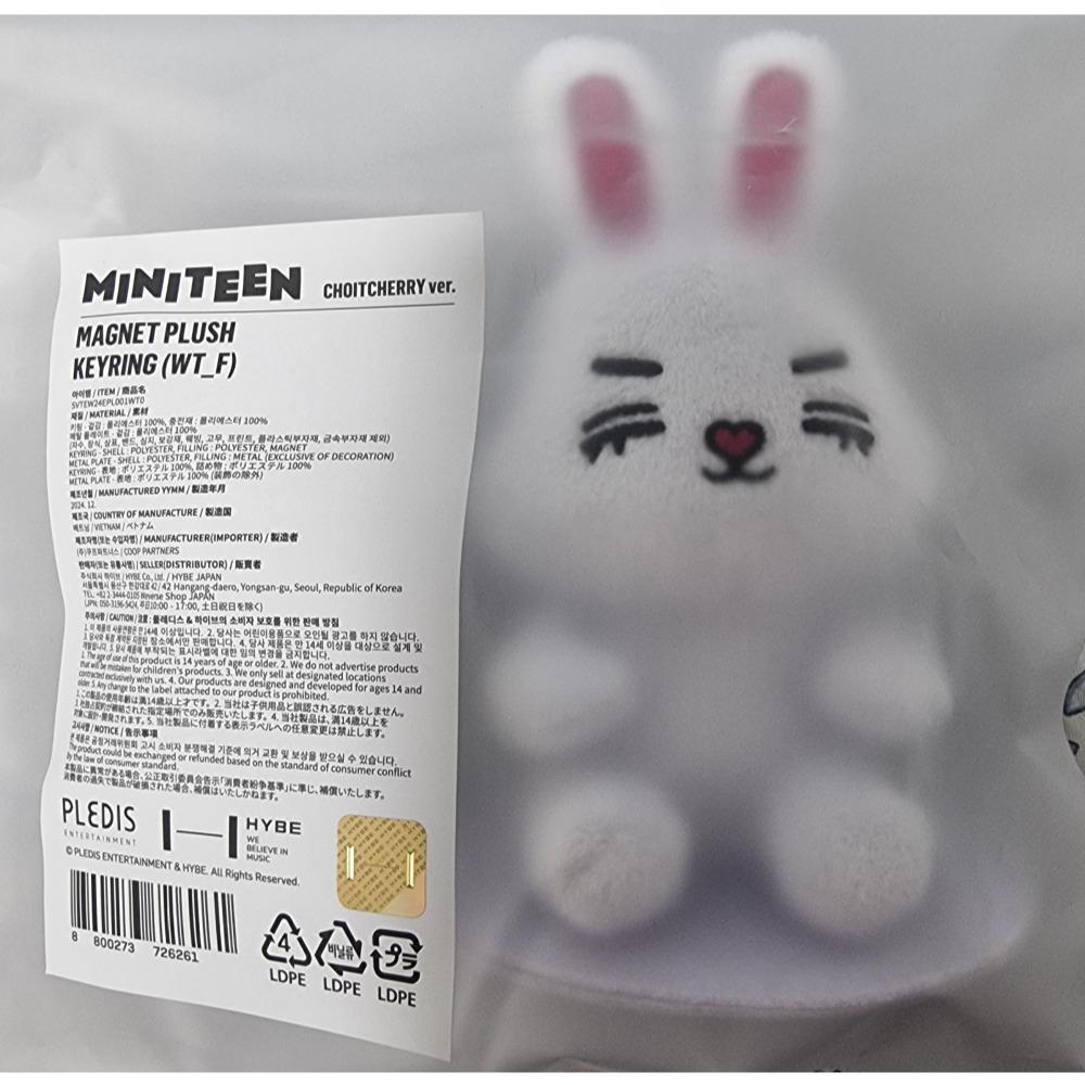 Seventeen Магнитный плюшевый брелок