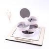 Portable Jewelry Box Travel Jewel Case 4 Layer Rotating Earring Storage Organizer with Mirror White