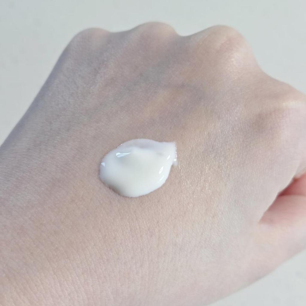 ROUND LAB Birch Juice Moisturizing Sunscreen SPF50+ PA++++ 50ml Korean Hydrating Sun Cream
