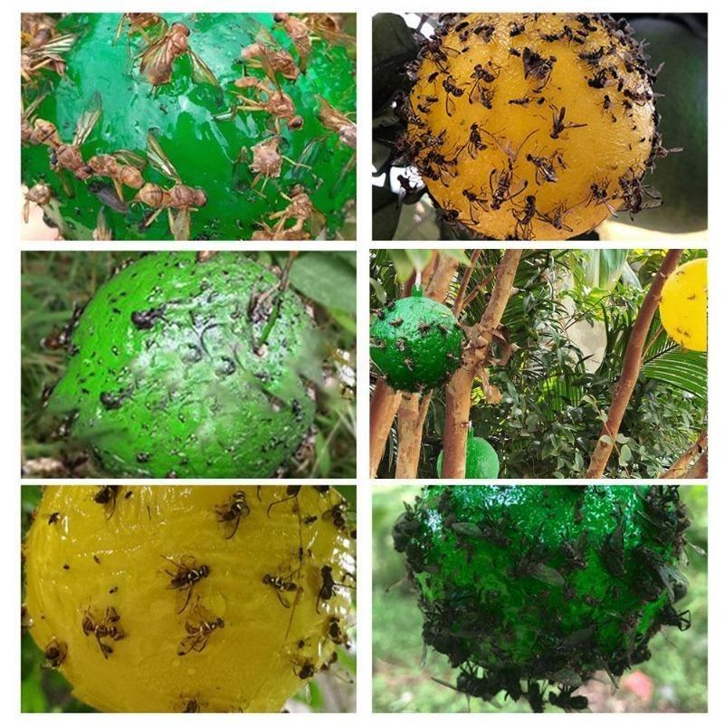 Ловушка для фруктовых мух и ловушка, липкая сфера, ловушка для комаров, ловушка для насекомых, желтый клей, гибкая доска для цитрусовых, мух-журчалок, комаров