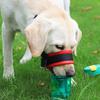 Dog Muzzle Adjustable Loop Nylon Mouth Guard Breathable Anti Barking Biting Chewing Muzzle with Reflective Straps for Small Medium Large Dog