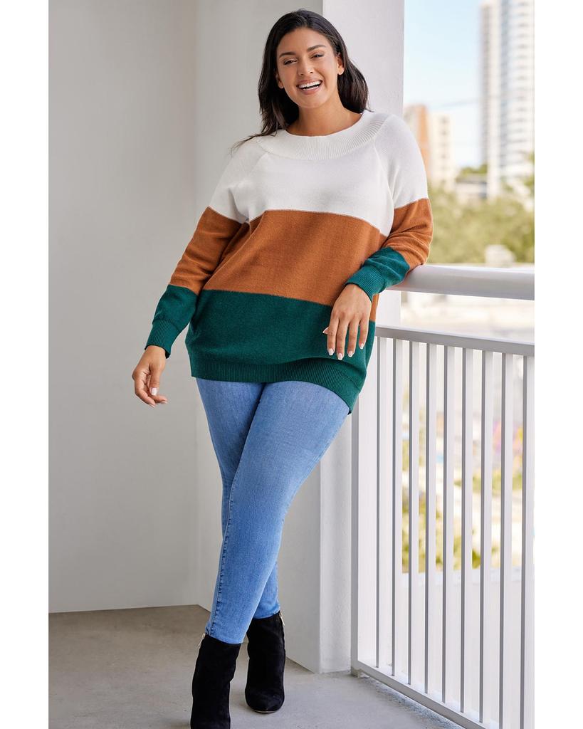 Azura Exchange Brown Plus Size Ribbed Trim Color Block Sweater