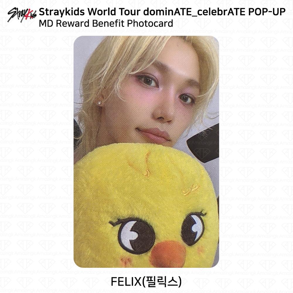 Stray Kids World Tour DominATE CelebrATE POP-UP MD Reward Benefit Photocard KPOP