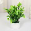 Зеленые реалистичные растения в горшках Алоэ Трава Искусственная трава Подарочные горшки Искусственные растения Бонсай
