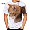 Футболка с принтом 3D Cat Cool, мужская модная повседневная футболка с коротким рукавом