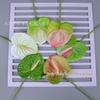 3D Anthurium Flamingo Flower – Smooth White Single Stem Arrangement for New Store Opening Celebration
