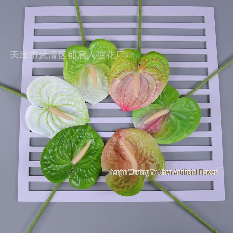 3D Anthurium Flamingo Flower – Smooth White Single Stem Arrangement for New Store Opening Celebration