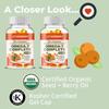 XEMENRY Organic Sea Buckthorn Seed Oil Capsules, beneficial for gut and heart health, 2000 mg per serving, suitable for adults.