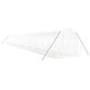 Greenhouse with Steel Frame White 40 M² 20 X 2 X 2 M