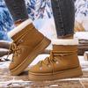 Fashion Women Ankle Boots 2025 New Round Toe Plush Warm Casual Shoes for Women Thick-soled Cross-strap Snow Boots Women Zapatos De Mujer