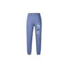 Sports Lifestyle Series Logo Letter Fleece Warm Cuffed Knitted Joggers Men Joggers Blue DX0796-491