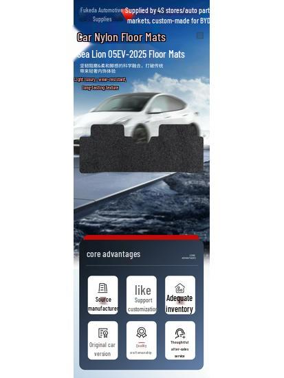 Полнопокрывные нейлоновые коврики для BYD Sea Lion 05 EV-25