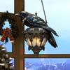 Raven On Lantern Acrylic Suncatcher Faux Stained Glass Window Wall Hanging Ornament Gothic Crow On Lamp Halloween Decor for Dark Academia Home Decor