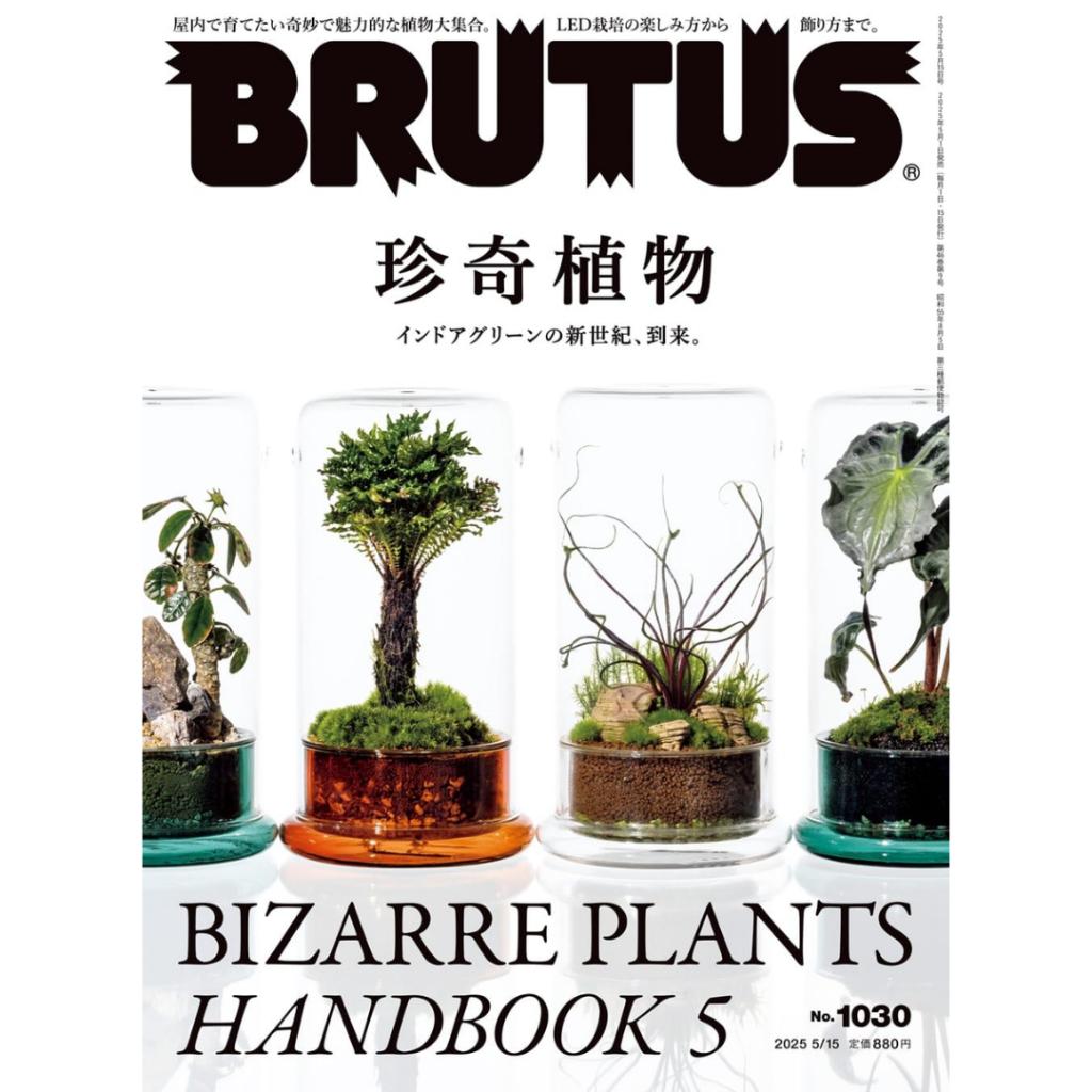 Совершенно новый BRUTUS 2025 – Выпуски №1022–№1044 – Выберите свой любимый