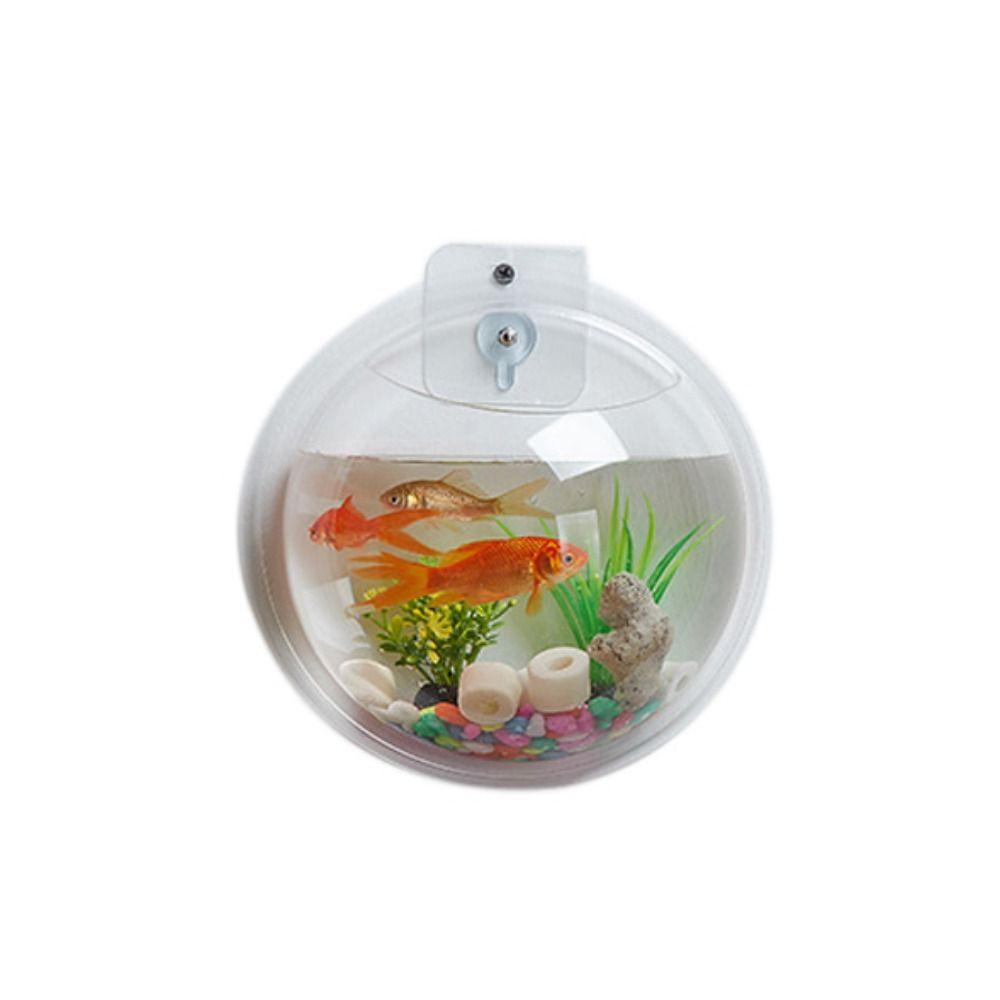 Настенный аквариум в форме полусферы, прозрачный подвесной аквариум для петушков, украшение для офиса