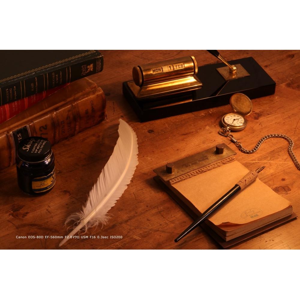 Цифровая зеркальная камера Canon EOS 80D с объективом EF-S18-55mm F3.5-5.6 IS STM в комплекте EOS80D1855ISSTMLK