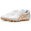 Asics Ds Light Series Round Toe Lace-Up Ag (Rubber Short Stud) Soccer Shoes Men Soccer Shoes Platinum 1103A032-100