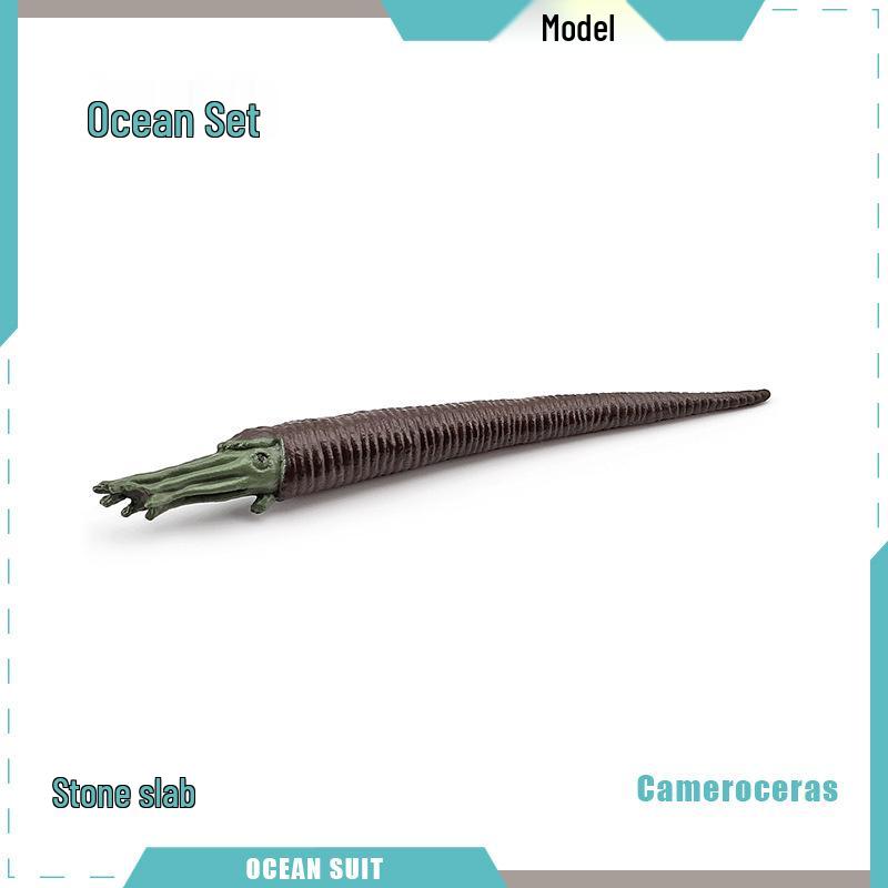 Children's Marine Animal Model Set: Mini Whale, Shark, Dolphin, Turtle, Sea Lion