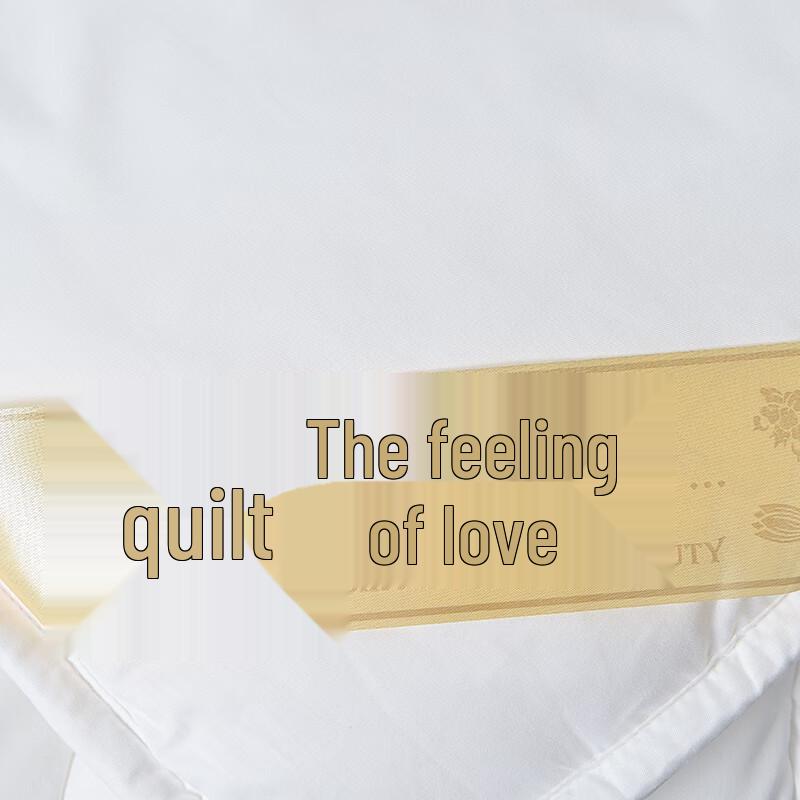 HEJIAN Thick Nine-Hole Fiber Winter Quilt