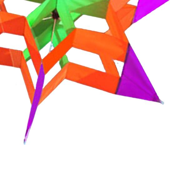 3D Lotus Kite Легко управлять Сверхпрочный открытый пляж парк газон дети взрослые игрушка воздушный змей семья малышей мальчики девочки начинающие красочный летающий змей