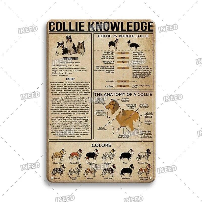 Оловянный знак Знание стоматолога Колли винтажная доска художественный плакат для стоматологического кабинета фитнес-клуба офиса ванная комната Настенный декор подарок