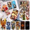 Аниме Digimon Adventure Чехол для телефона для iphone 12 pro max mini 11 pro XS MAX 8 7 6 6S Plus X 5S SE 2020 XR чехол