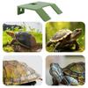 Double Ladder Turtle Basking Platform Plastic Turtle Basking Terrace Turtle Floating Ramp  Home