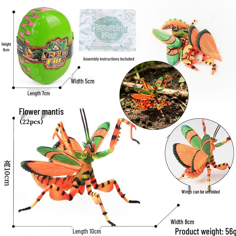 4D Stereo DIY Animal Model Kit: Eagle, Scorpion, Gecko, Rattlesnake, Spider, Lizard, Squirrel, Hedgehog